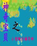 (宠物小精灵同人)小智随行辅导师