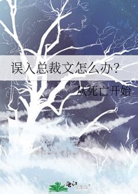 误入总裁文怎么办？
